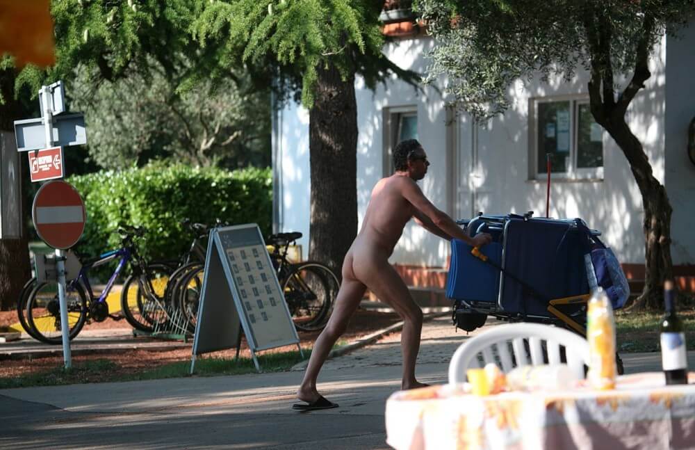 Park Side Street Pass-Bys photos - It strives for inner balance—not being afraid to be naked among those like you
