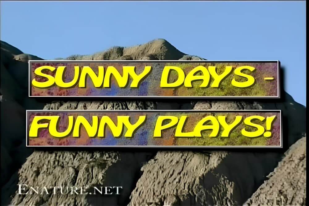 Enature - Sunny Days – Funny Plays - A slight inclination toward nudism